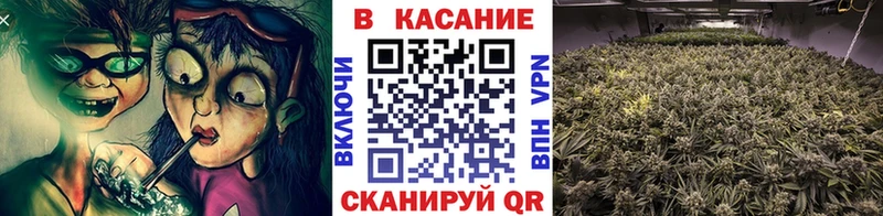 Наркошоп купить МДМА  Галлюциногенные грибы  КОКАИН  Альфа ПВП  ГАШИШ  Мефедрон  Канабис  Медвежьегорск