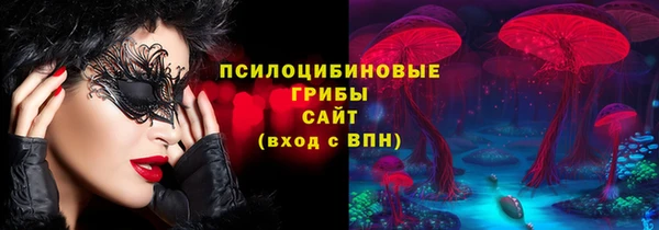 мдма Новодвинск