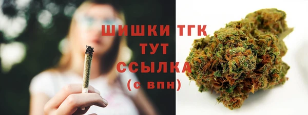 мдма Новодвинск