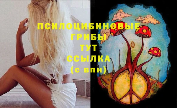 марки nbome Новозыбков