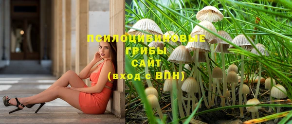 марки nbome Новозыбков