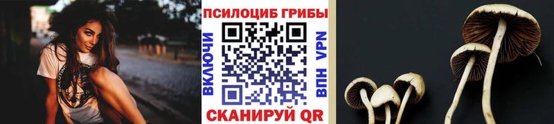 Галлюциногенные грибы прущие грибы  Купить где  Медвежьегорск 